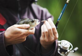 Equipamentos Ideais para Pesca Esportiva