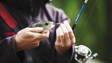 Equipamentos Ideais para Pesca Esportiva