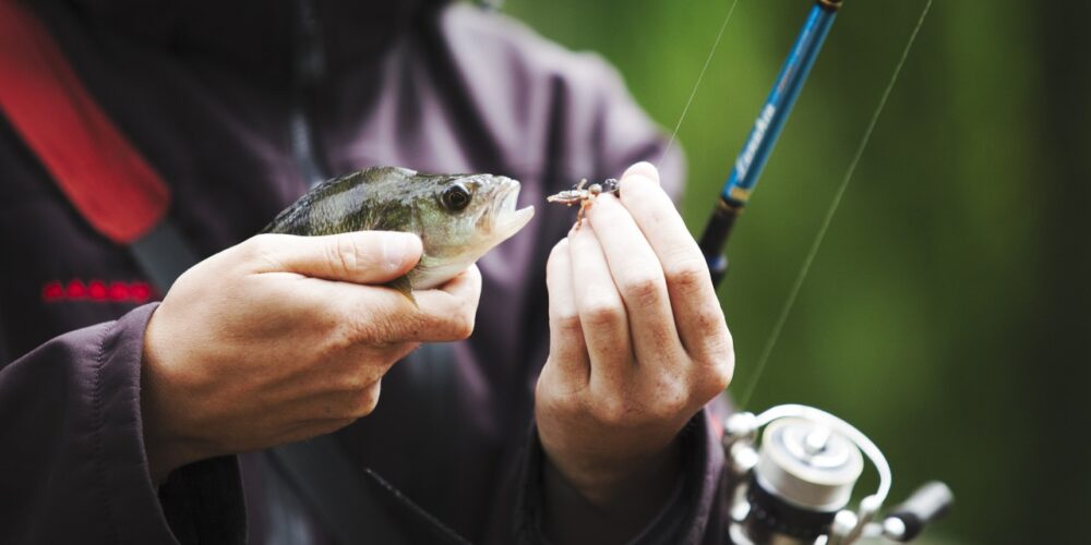 Equipamentos Ideais para Pesca Esportiva