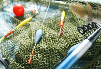 Sentinela da Pesca: Garantia de Qualidade em Produtos