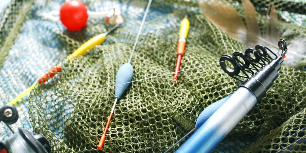 Sentinela da Pesca: Garantia de Qualidade em Produtos