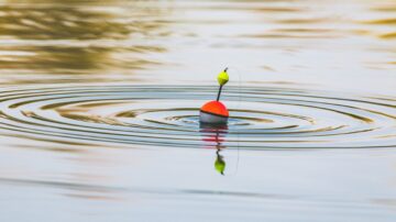 Top 5 Boias para Pesca na Sentinela da Pesca