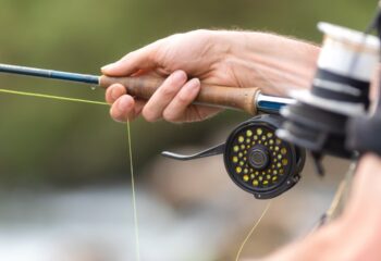 Como Escolher a Carretilha Certa na Sentinela da Pesca