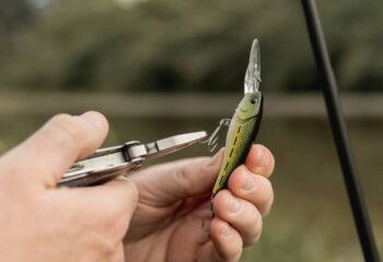 Como uma Boa Loja de Pesca Pode Ajudar na Escolha de Equipamentos - Sentinela da Pesca