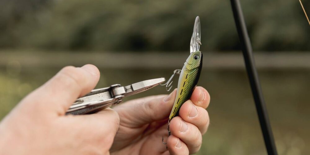 Como uma Boa Loja de Pesca Pode Ajudar na Escolha de Equipamentos - Sentinela da Pesca