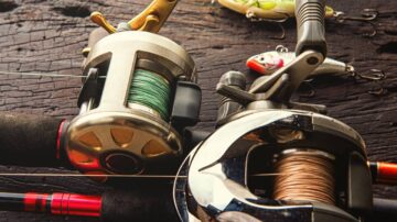 Loja de Pesca: Como Escolher entre Carretilhas, Molinetes e Outros Equipamentos- Sentinela da Pesca